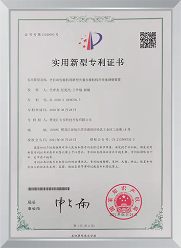 公司专利证书
